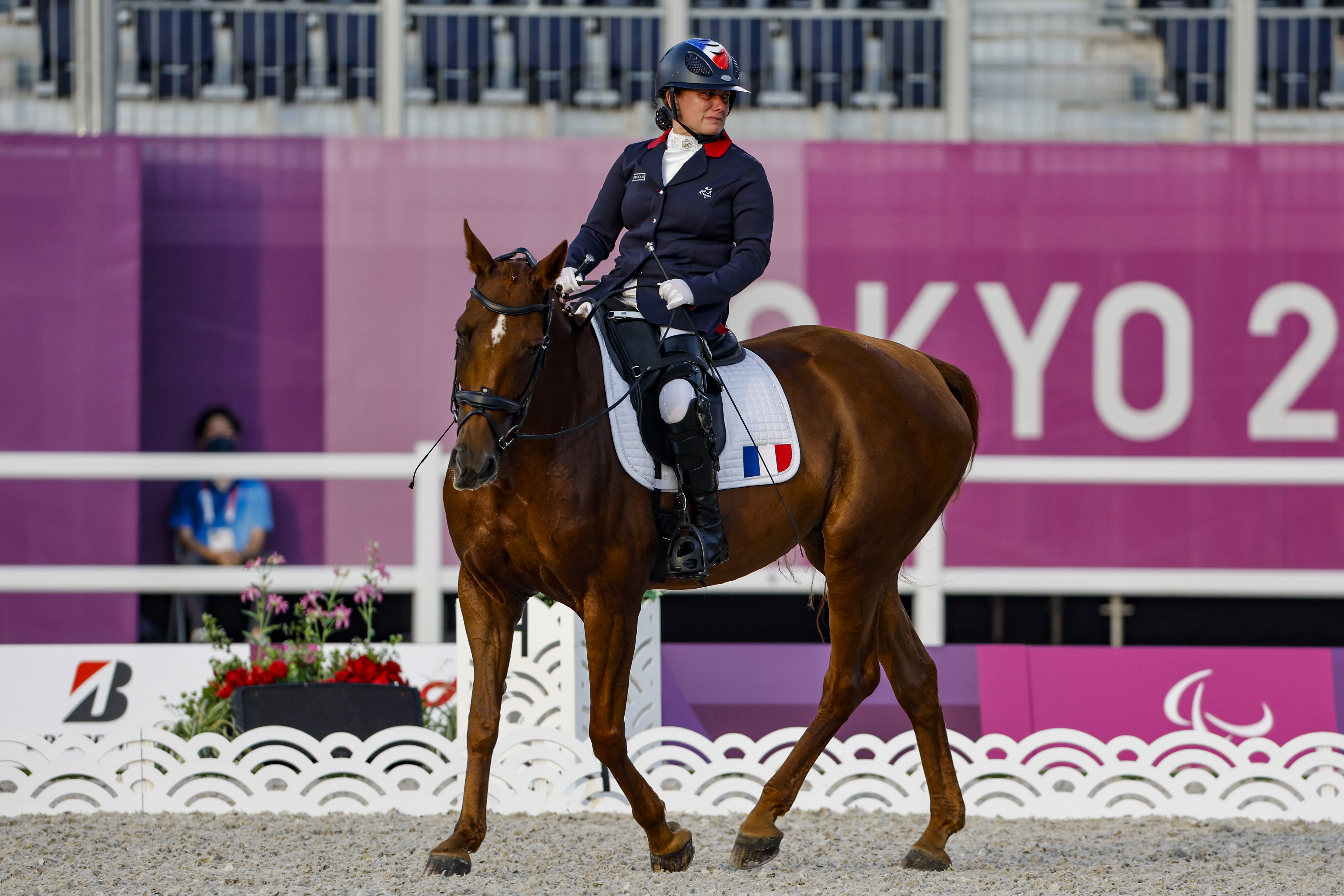 Para équitation